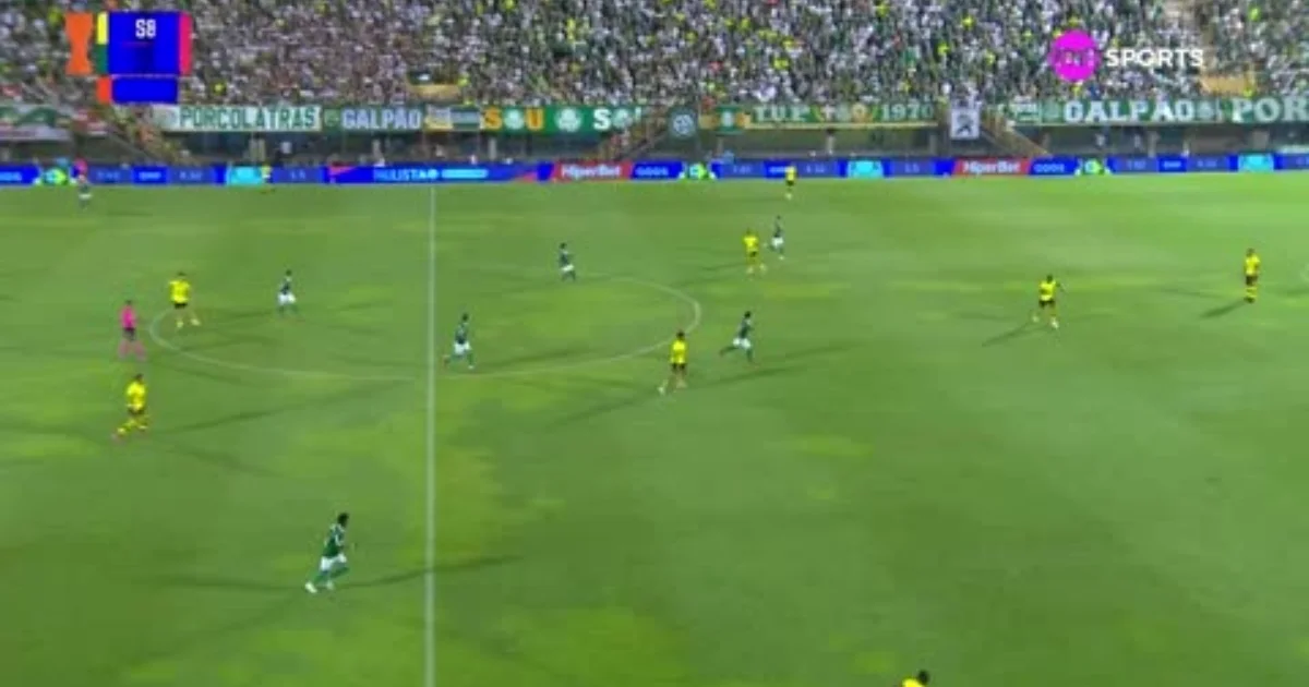 São Bernardo 0 x 3 Palmeiras: veja os melhores momentos do jogo pelo ...