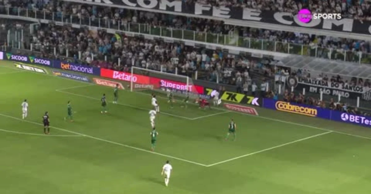 Santos 1 x 0 Palmeiras: confira os melhores momentos do jogo pelo ...